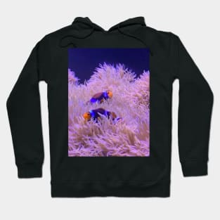 Two Clown Fish Hoodie